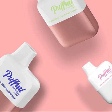 Puffmi Meshbox Disposables