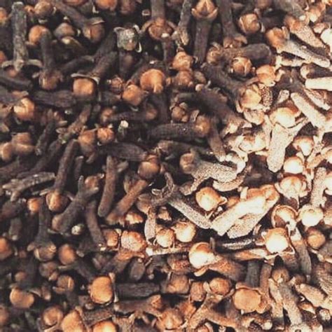 Jual cengkeh kualitas premium | Shopee Indonesia