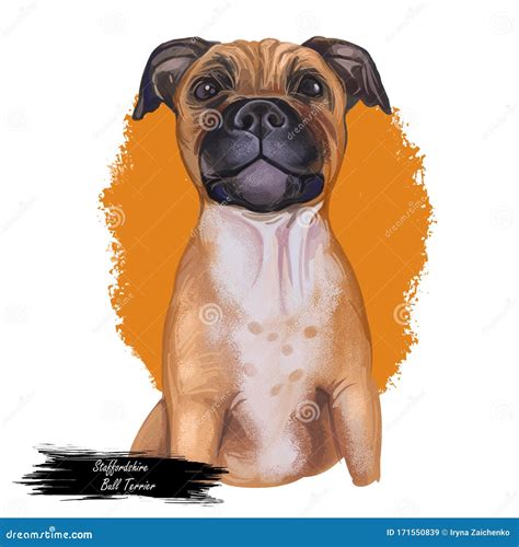 Staffordshire Bull Terrier Digital Art Illustration Of Cute Canine