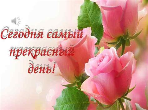 Сегодня самый прекрасный день Твой день рождения
