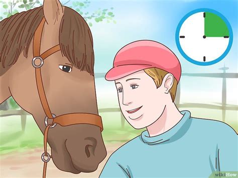 ways  teach  horse  bow wikihow horses horse care horse