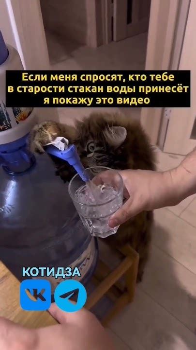 Вот кто подаст стакан воды в старости - YouTube