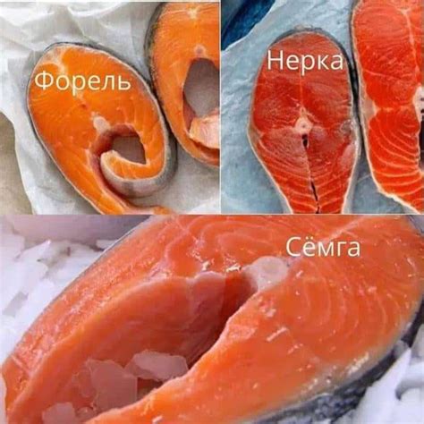 Нерка – что за рыба, рецепты и фото
