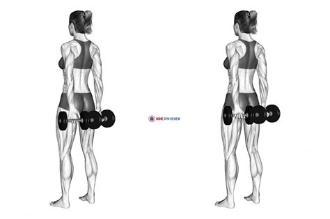 Dumbbell Behind Back Finger Curl (female) - Home Gym Review