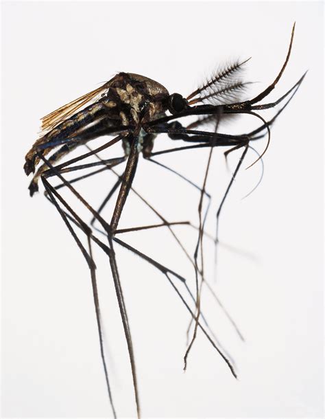 Why the Zika Virus Travel Warnings Matter—Even If You Aren’t Pregnant