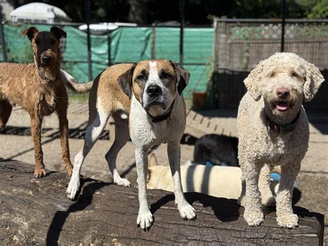 Bentley’s Retreat added a new photo. - Bentley’s Retreat