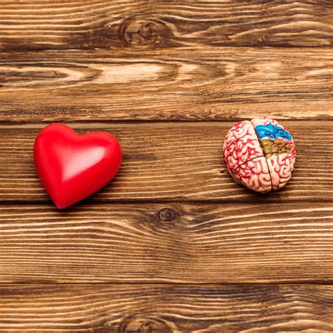 adhd brain  normal brain honestly adhd