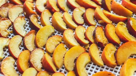 removing moisture  food helps preserve  methods  benefits
