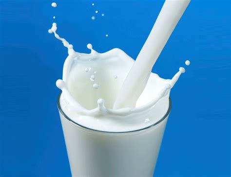 beneficios sorprendentes de la leche salud teu