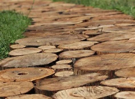 Дорожки в теплице: цели создания, советы по выбору, правила расчета ...