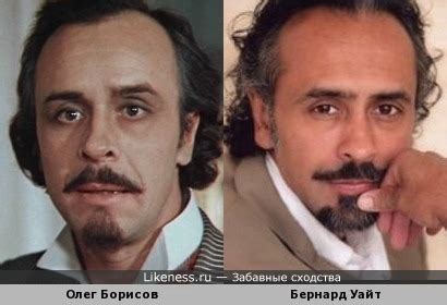 Забавные сходства: похожие знаменитости, звёзды-двойники и известные ...