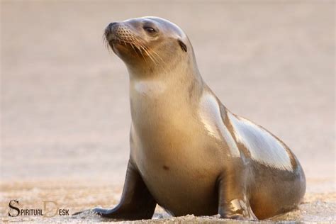 Sea Lion Spiritual Meaning: Guardian Of The Ocean?