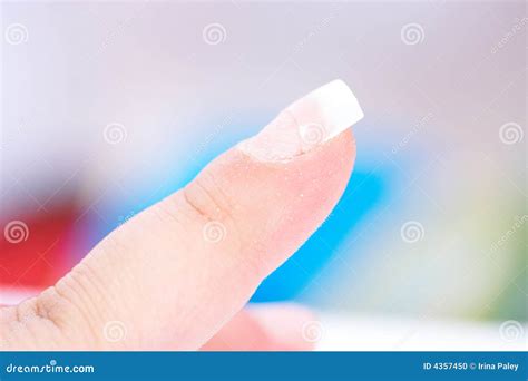 finger  tips stock photo image  brush groomed