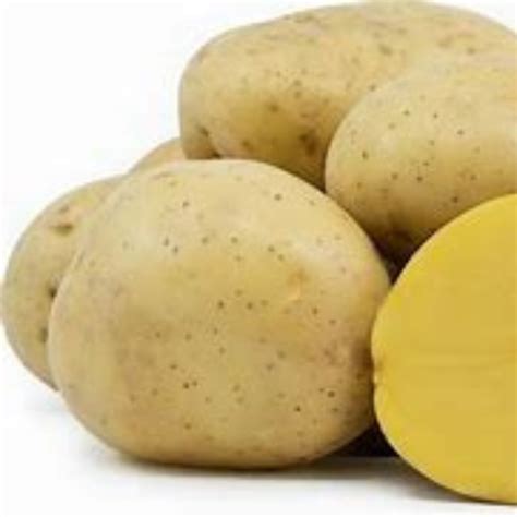 potato types explained   varieties   recipe everyday