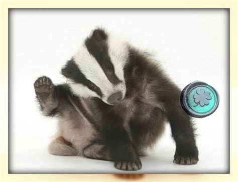 tasso il rifugio  tyche