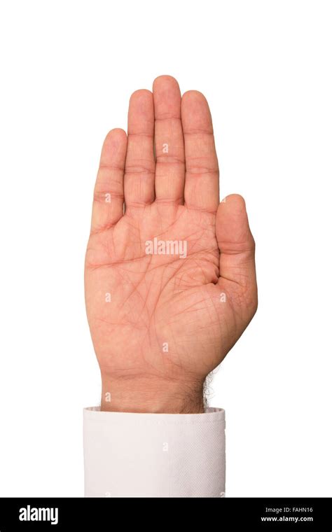 palm side  hand  white background stock photo alamy