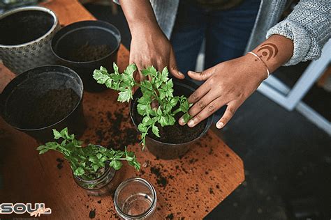 Why Simple Living Is The Forgotten Key To Self Actualization - Soul Hiker