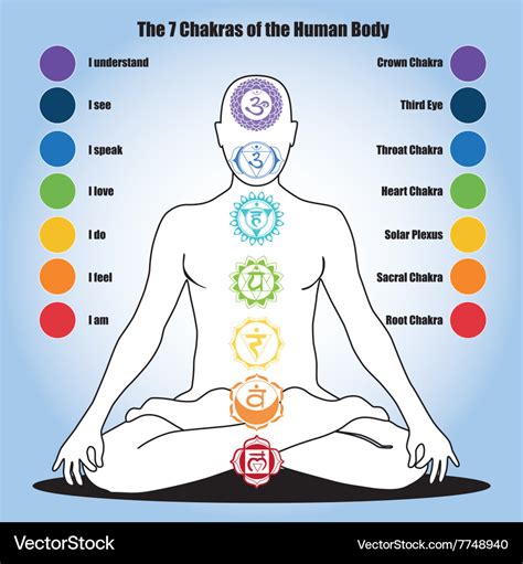 chakras   human body royalty  vector image