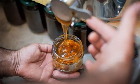 What Is the Environmental Impact of Honey Production?
