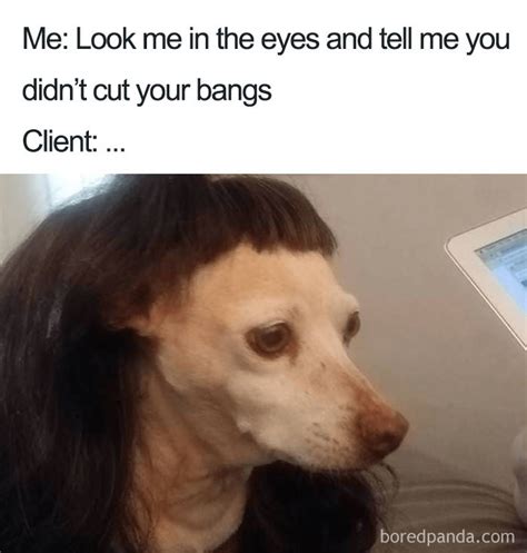Funny Memes That Will Make You Feel Bad For Your Hairstylist | Bored Panda