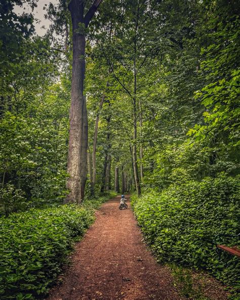 Katka Kyptova IFBB Pro - Výživový poradce a osobní kouč - Ver sobe