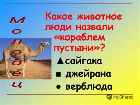 Презентация на тему: "В России пустыни занимают небольшую площадь – по ...