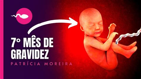 7 MESES DE GRAVIDEZ - Semanas 27, 28, 29, 30 | Patrícia Moreira - BOA ...