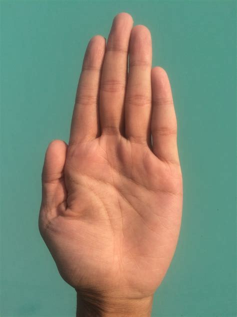 Left Hand Palm