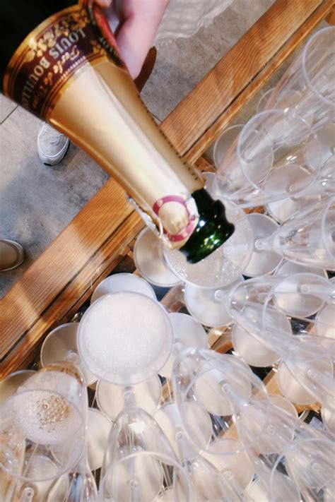 Základová fotografie na téma alkohol, alkoholický nápoj, bobule zdarma