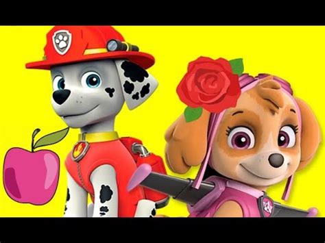 Щенячий патруль новые серии игра для детей играем со щенком. Скай в ...