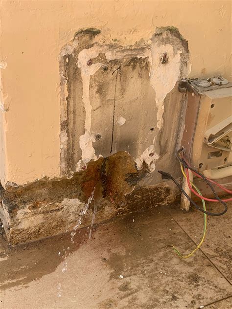 The Hidden Dangers Of The Jameliz Benitez Leak: Are You At Risk? Image 13