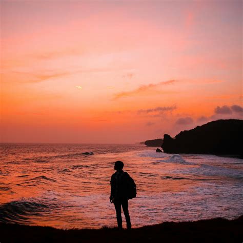backlit stock  images  royalty  hd