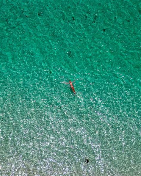 Siargao island hopping - Guyam, Daku and Naked island