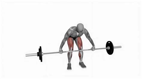 barbell snatch deadlift wide grip ryse