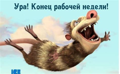Конец рабочей недели! | Юмор, Забавности, Фотография юмор
