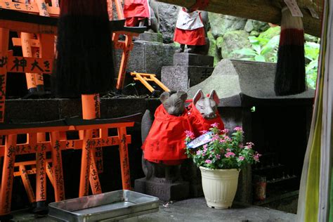 Kostenloses Foto zum Thema: fuchs, japan, kyoto