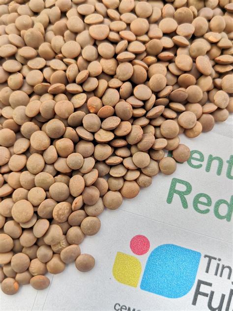 Семена от червена леща (Red Lentil)