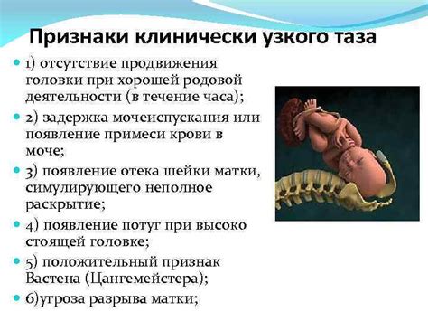 Аномалии узкого таза Размеры малого таза в