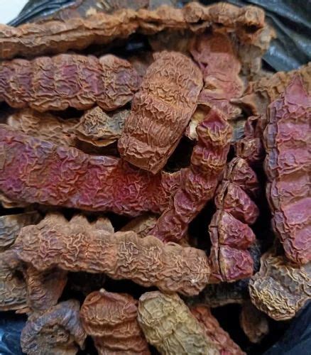 Shikakai at Rs 32.50/kg | Guwahati | ID: 2849636698162