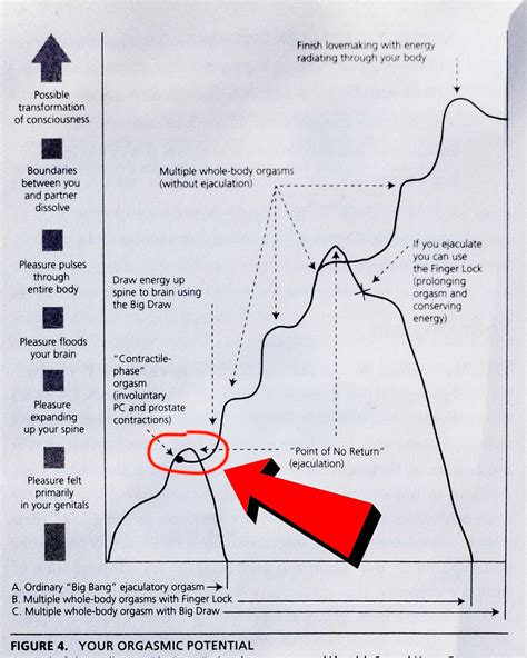 The Truth About Multiple Orgasms for Men - (You've probably been misled)