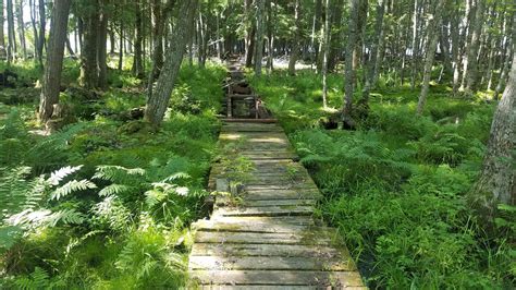 799 best Upper Michigan images on Pholder | Earth Porn, Michigan and