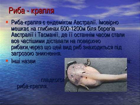 Риба-Папуга та Капля - презентація з біології