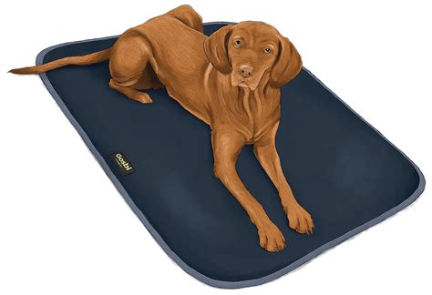 Comida para perros - Gosbi Pet Food