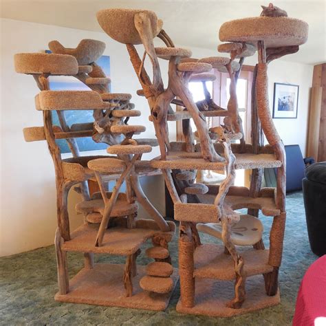 Diy Natural Wood Cat Tree at James Ivery blog
