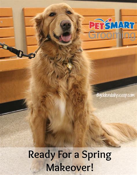 Petsmart Dog Bath at April Langdon blog