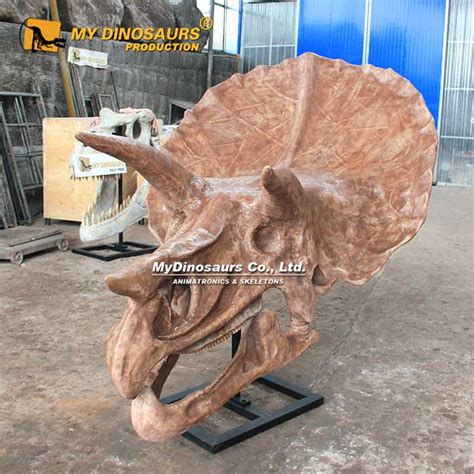 LM Treasures Dinosaur Fossil Triceratops Skull Prehistoric Prop Resin Statue Industrial ...