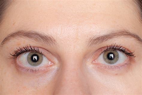 Лучшие бюджетные консилеры: плотные и очень плотные | Beauty Insider