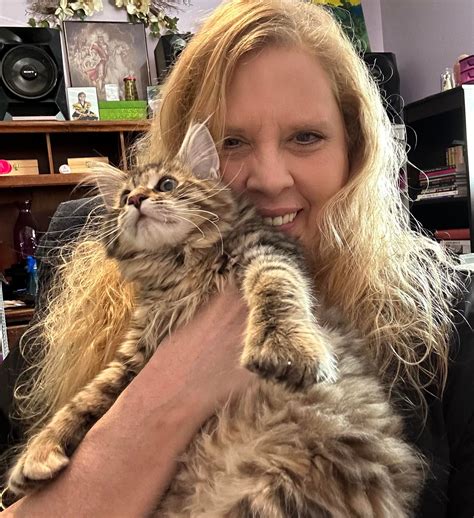 Boyce's Maine Coons for Adoption in WV | Fairmont WV