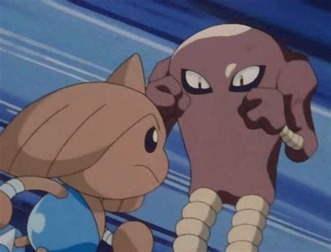 👊Hitmonlee👊 | Wiki | Pokémon Amino