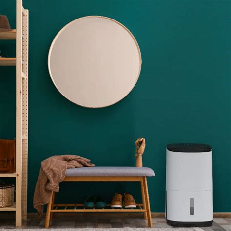 MEACO Arete One ARETE-20L 20L Dehumidifier & Air Purifier | Hughes